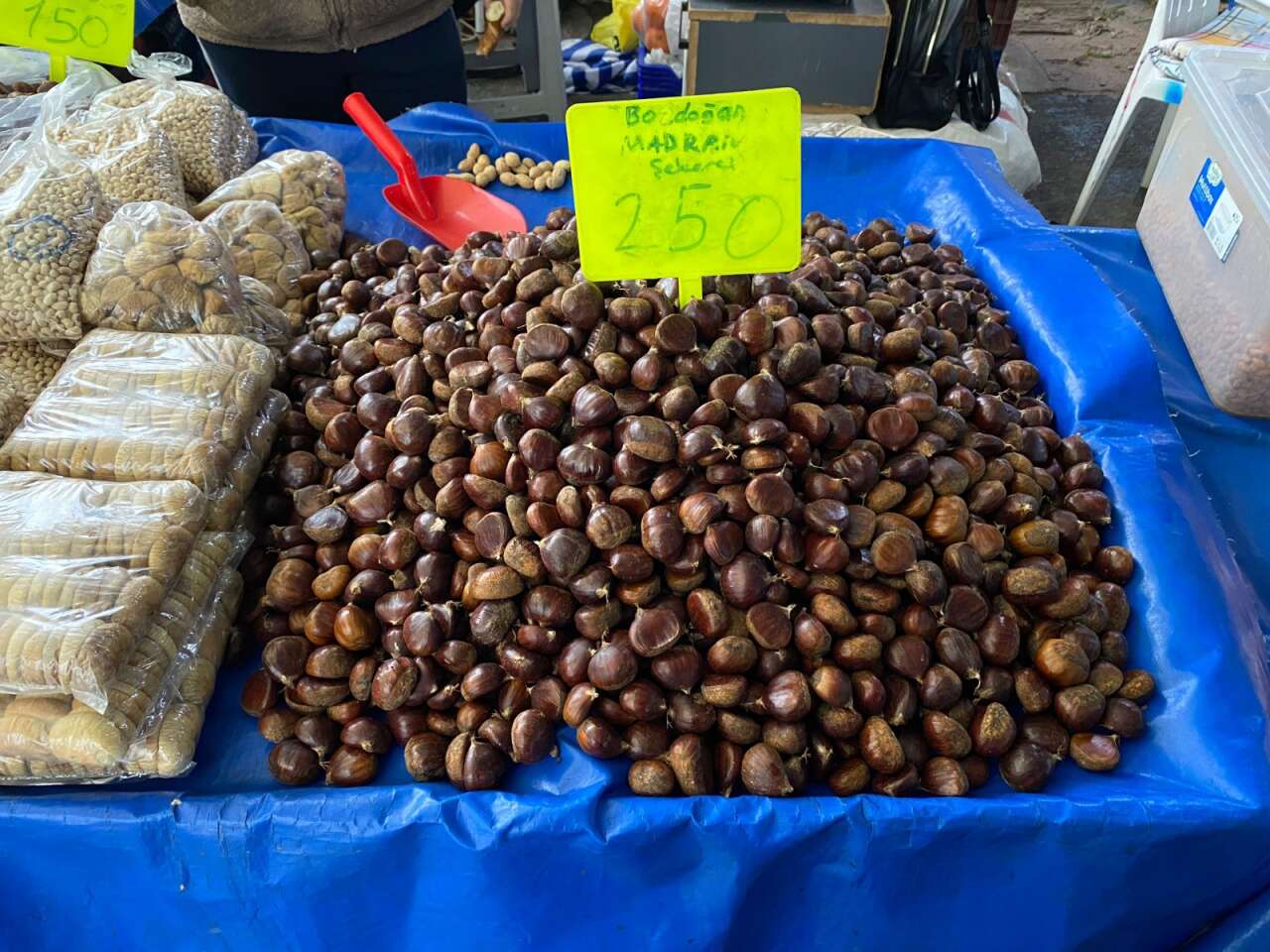 Menteşe Perşembe Pazarı’nın Şampiyonu Kestane Oldu 3